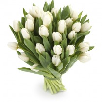 White Tulips - by the piece